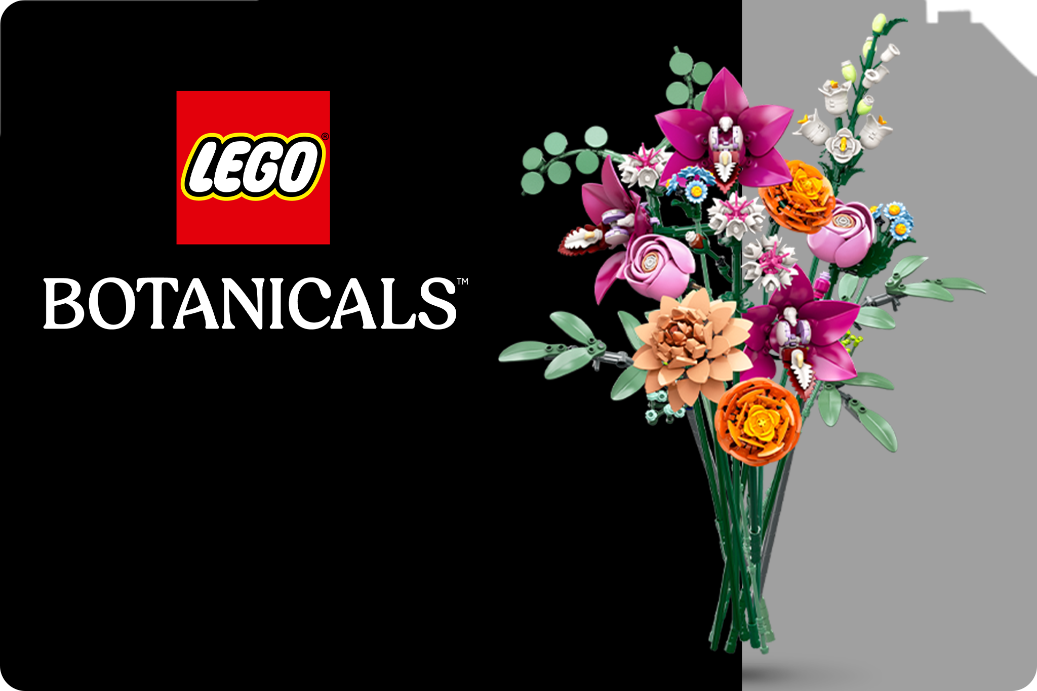 10342_BOTANICALS_1HY25_Horizontal_btn_bg
