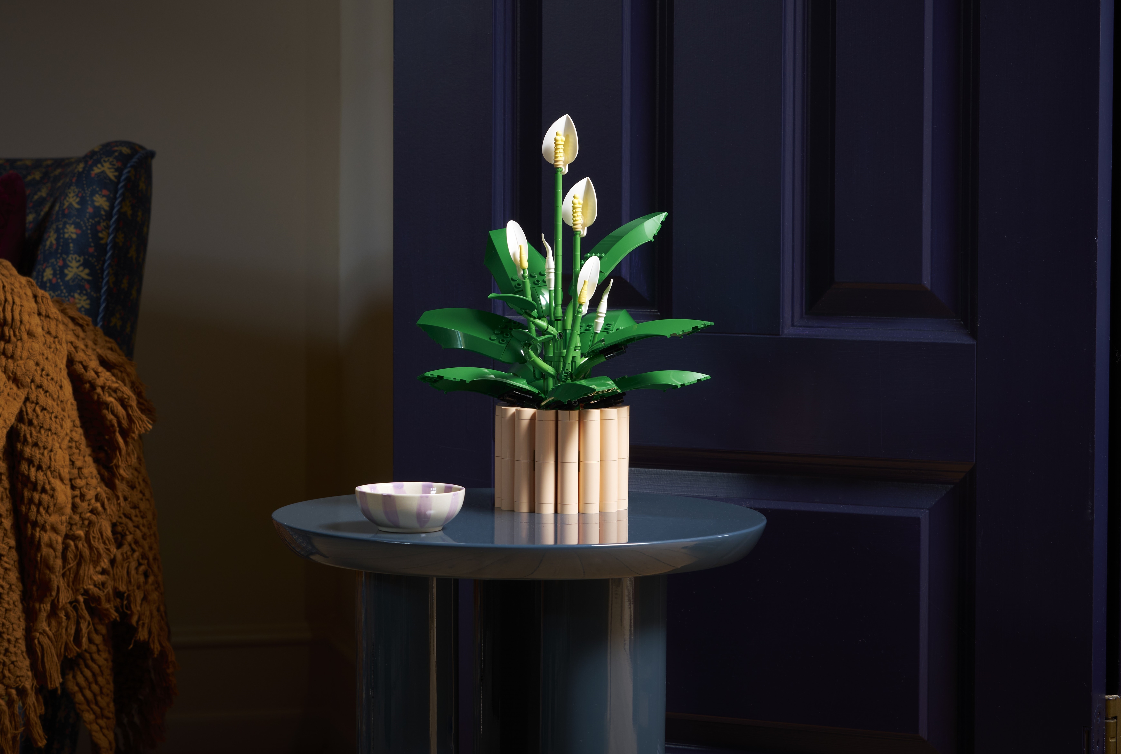 11504_Lifestyle_Envr_01