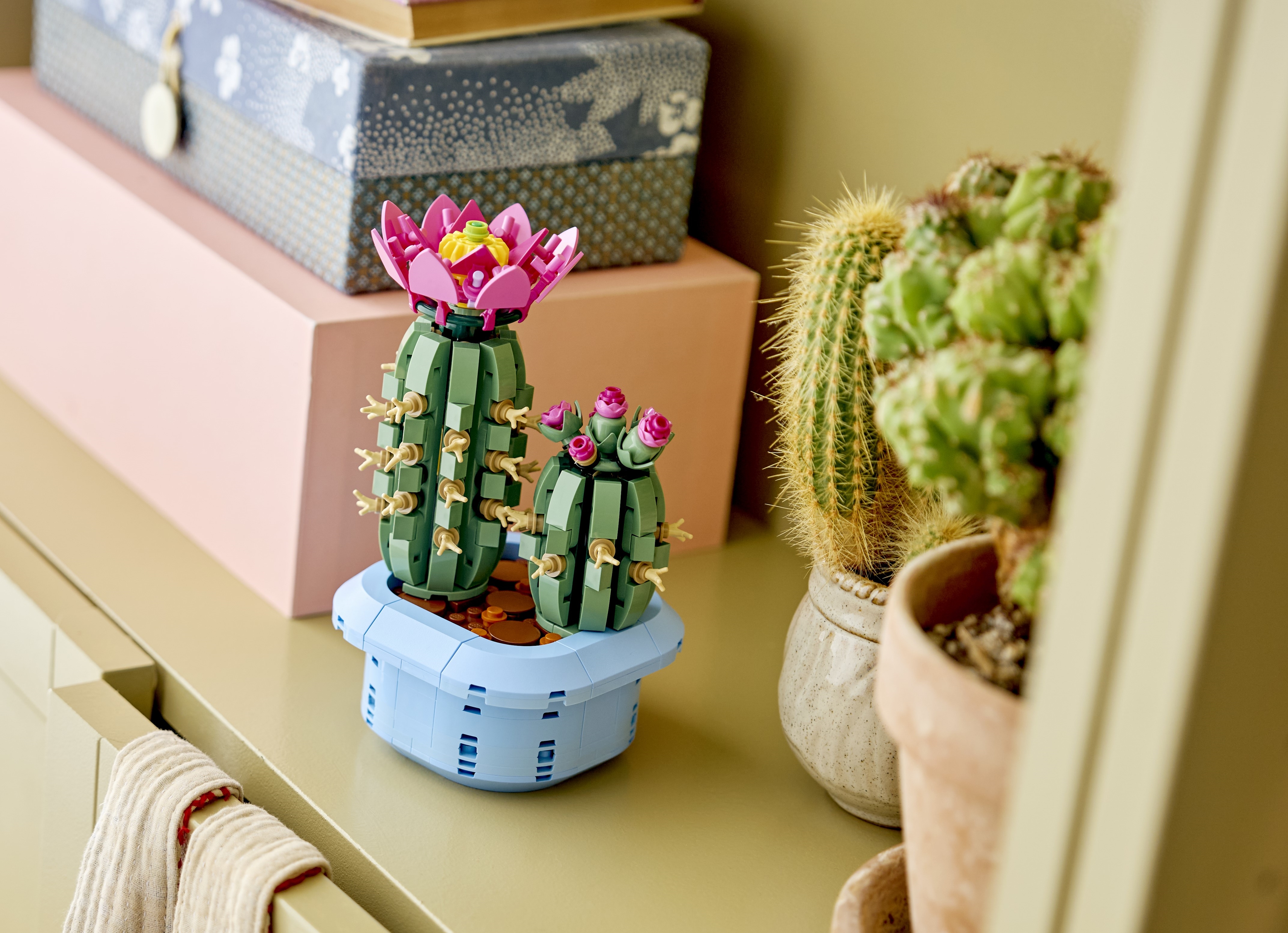 11509_Lifestyle_envr