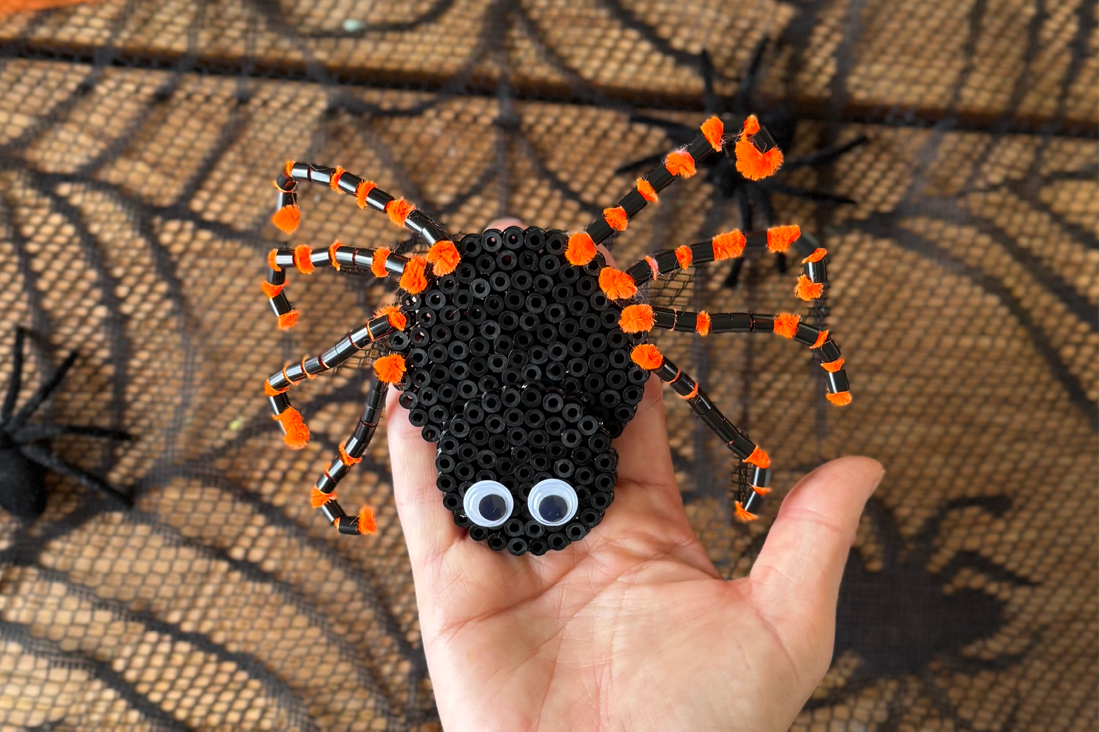 LEG_Web_Kramogkrea_edderkop5